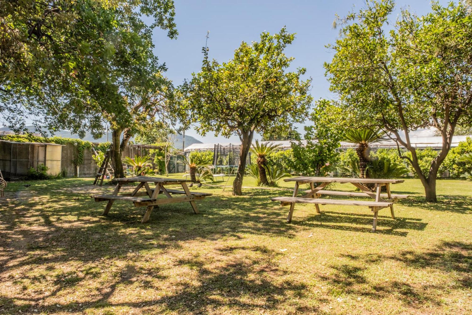 Agriturismo Giorgi Appartamenti In Riviera Ligure Albenga Exterior photo